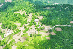 蜂桶乡避暑经济火出圈 三千余游客带来五十万增收喜讯