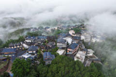 云南景洪巴朵村雨林徒步游火爆 打造一体化服务链带动村民稳定增收