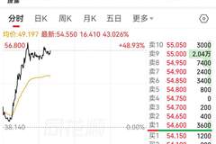 港股又现大动作 海致科技盘中暴涨超48% 图模融合技术对标Palantir获机构看好