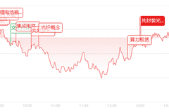 收评：创业板领涨大盘，赛道板块多点开花，高位题材股迎来集中回调