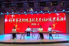 琴声墨香里的夏天：利辛县文化馆公益培训点亮多彩暑假