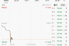 宇树科技，大跌17%