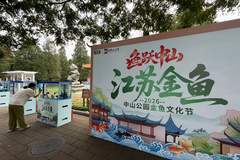 中山公园“鱼跃中山”金鱼文化节启幕80余种优质金鱼集中展出
