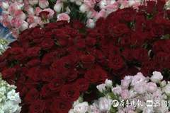 七夕氛围感拉满 枣庄高新区鲜花茶饮市场迎来“甜蜜爆发”