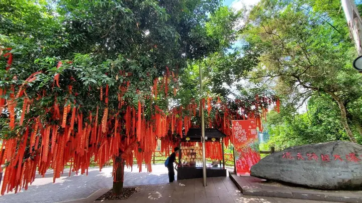 夏季避暑旅游实用指南：安全舒适出行全攻略