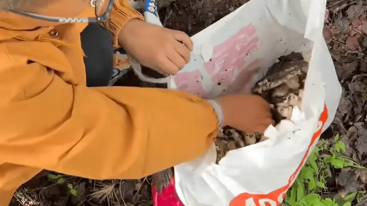 少年识毒蘑菇救游客一命成网络红人
