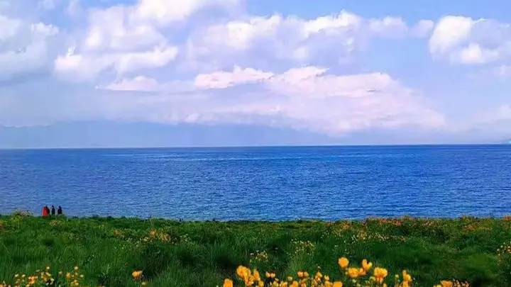 新疆伊犁深度旅游攻略:赛里木湖碧波连天,喀拉峻草原花开成海,果子沟大桥云端穿行,四季皆景