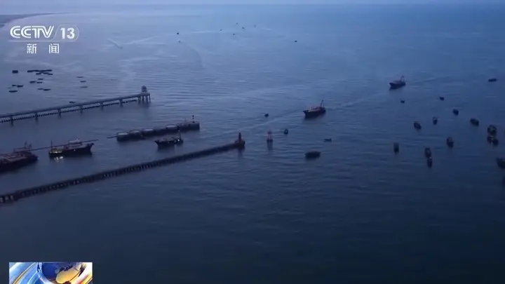 视频丨南海开渔 解锁各地“山海好丰景”