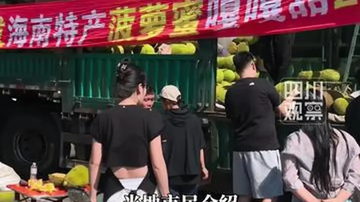 哈尔滨全城追菠萝蜜