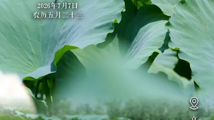 文旅节气海报|小暑至,荷风起,天鹅湖万亩荷塘藏清凉