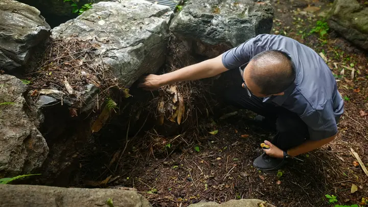香山公园雨后清理枯枝落叶和积水,保障游客游园安全