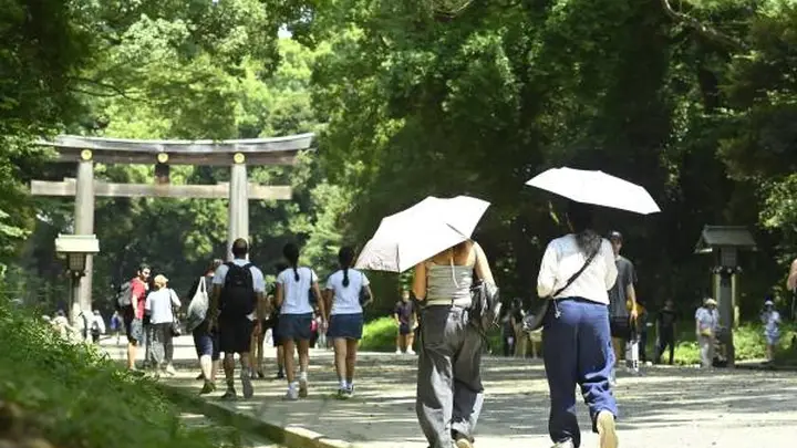 日本景点“双重票价”，为何让国际游客和本国人都怒了？