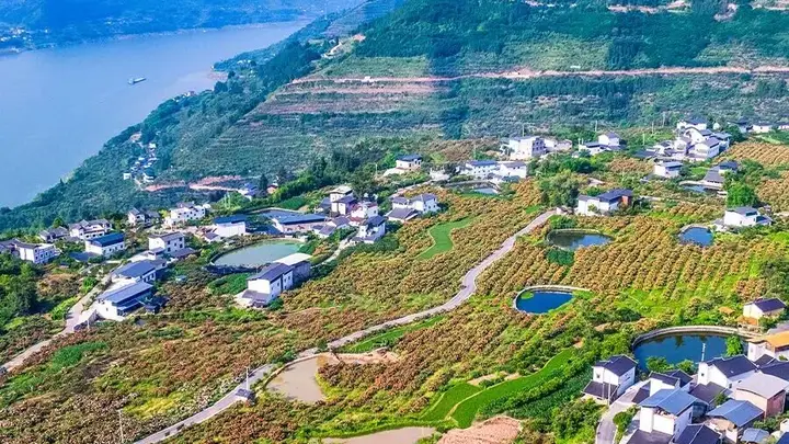 云阳巴阳村:非遗古法体验地,田园诗意慢生活