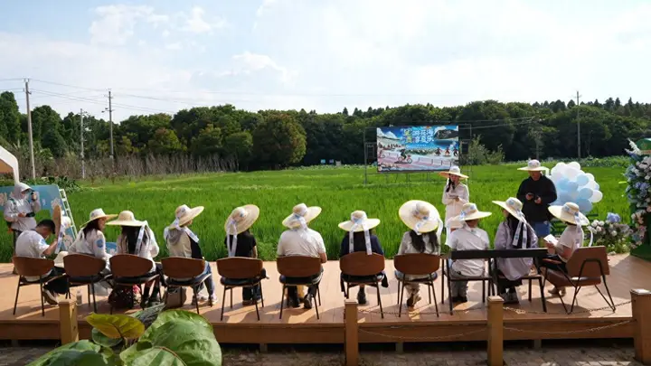 游花海、摘葡萄、跳火把、逛潮集、听音乐会……22℃呈贡端上暑期文旅盛宴