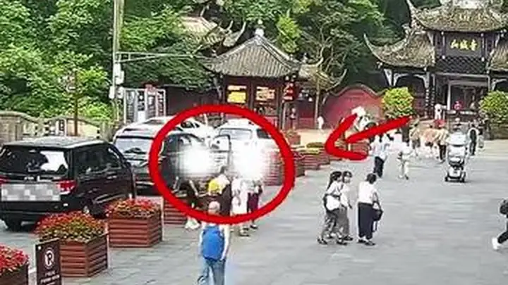 成都青城山“野路子”带客逃票团伙落网,警方:这不是省钱攻略,是违法行为