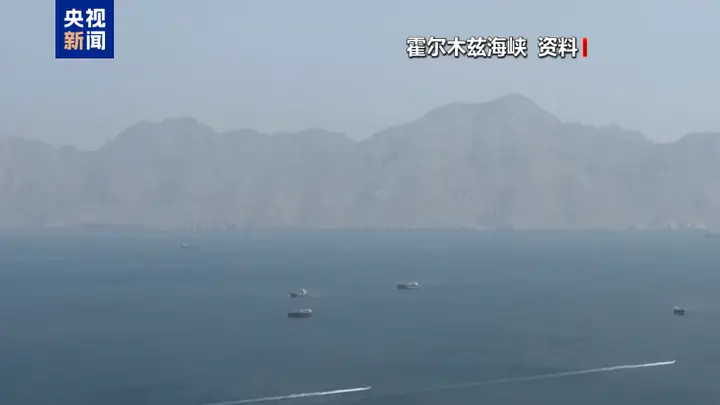 7点出发|游客油菜花海遭蜂群围攻 当地文旅部门回应