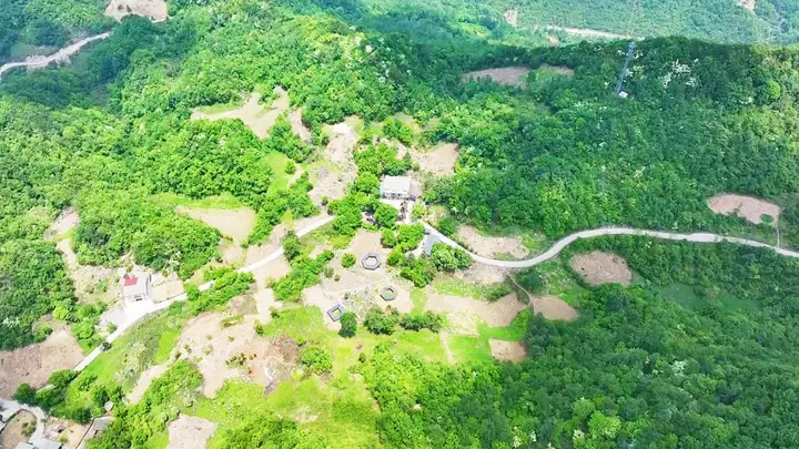 蜂桶乡避暑经济火出圈 三千余游客带来五十万增收喜讯