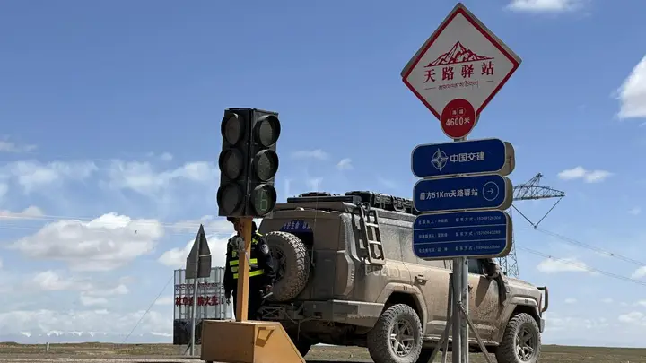 藏羚羊带娃安全回迁 青藏公路静音守护获点赞