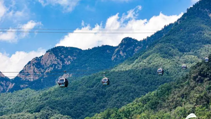 三伏登泰山 解锁翠林云海清凉之巅全新体验