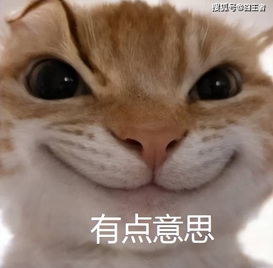 《率土之滨》新赛季地图会“刷新”？七擒七纵打到对面心服口服！
