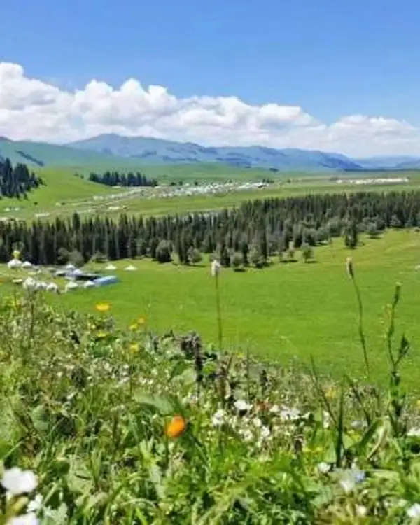 伊犁河谷四季玩法全亮点 草原雪山花海湖泊一站式玩透