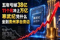 五年亏掉38亿的公司，11个月冲上万亿：寒武纪凭什么坐到贵州茅台旁边