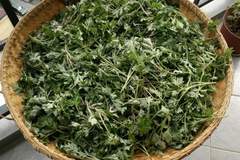 入夏后最该吃什么？这几种鲜嫩野菜别错过，清香可口风味佳！