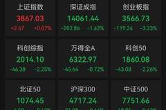 A股沪指收涨深指创业板指收跌 贵金属板块全天爆发