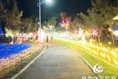 驻马店森语·园境智趣园夜间项目正式启动 夜游新去处添色彩