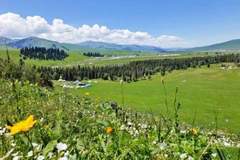 伊犁河谷四季玩法全亮点 草原雪山花海湖泊一站式玩透