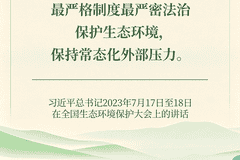 良法善治·回响｜一片古柏，见证制度的力量