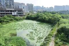 湖南祁东奥园广场烂尾盘:购房户退款难,接盘企业称已付款但还不能退