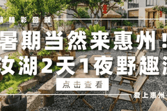 旅游市场强制消费问题典型案例（2026年第四批）