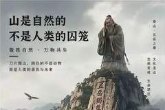 泰山滚刀网的本质