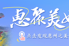 惠聚美好丨惠州夏日限定荷花美景,等你来打卡!