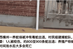 被文旅部通报点名后,壶口瀑布、稻城亚丁、武当山等多景区下调摆渡车收费价格