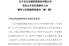长鑫IPO在即,长存“拍马追赶”