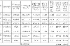 长鑫科技集团股份有限公司首次公开发行股票并在科创板上市发行公告