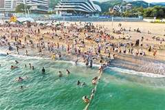 “来了不想走，走了还想来” 深圳成外籍旅客旅游热门城市