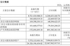 容百科技上半年扭亏为盈 营收增长39.57% 但经营现金流净额大幅下降