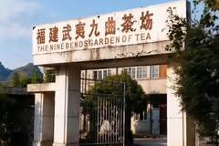 星村制茶先行者，书写武夷茶业改革史