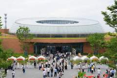 衢江姑蔑博物馆展上古文明 镇馆之宝及多元活动成文旅新亮点