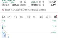 韩国金融监管提前落实降杠杆措施 单股杠杆ETF交易单位大幅提升