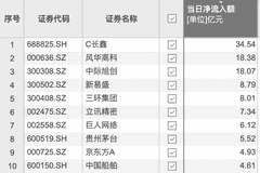 7月29日C长鑫获34.54亿元大额资金净流入，领跑当日个股榜单
