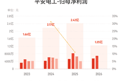 平安电工上半年营收同比大增超两成 归母净利润微降同步披露分红方案