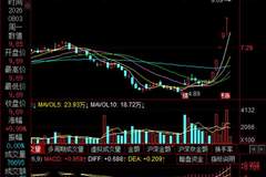 6连板妖股传智教育强势封板 稀缺AI培训标的乘多重利好成市场核心人气标的