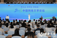 大神齐聚庐州，笔墨联结山河！从国家级论坛看安徽网络文学的破圈与深耕