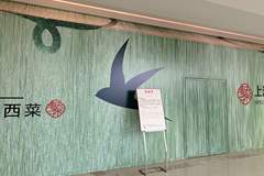 鼎泰丰上海港汇店闭店 48元6只小笼包引争议 本土遇冷海外却高歌猛进
