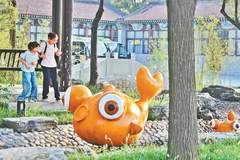 台湖环影宿游片区激活146家民宿年入3400万 村民增收千余万元