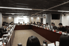 广东文化垂类大模型备案超20款 专场座谈会聚焦AI赋能文化强省建设